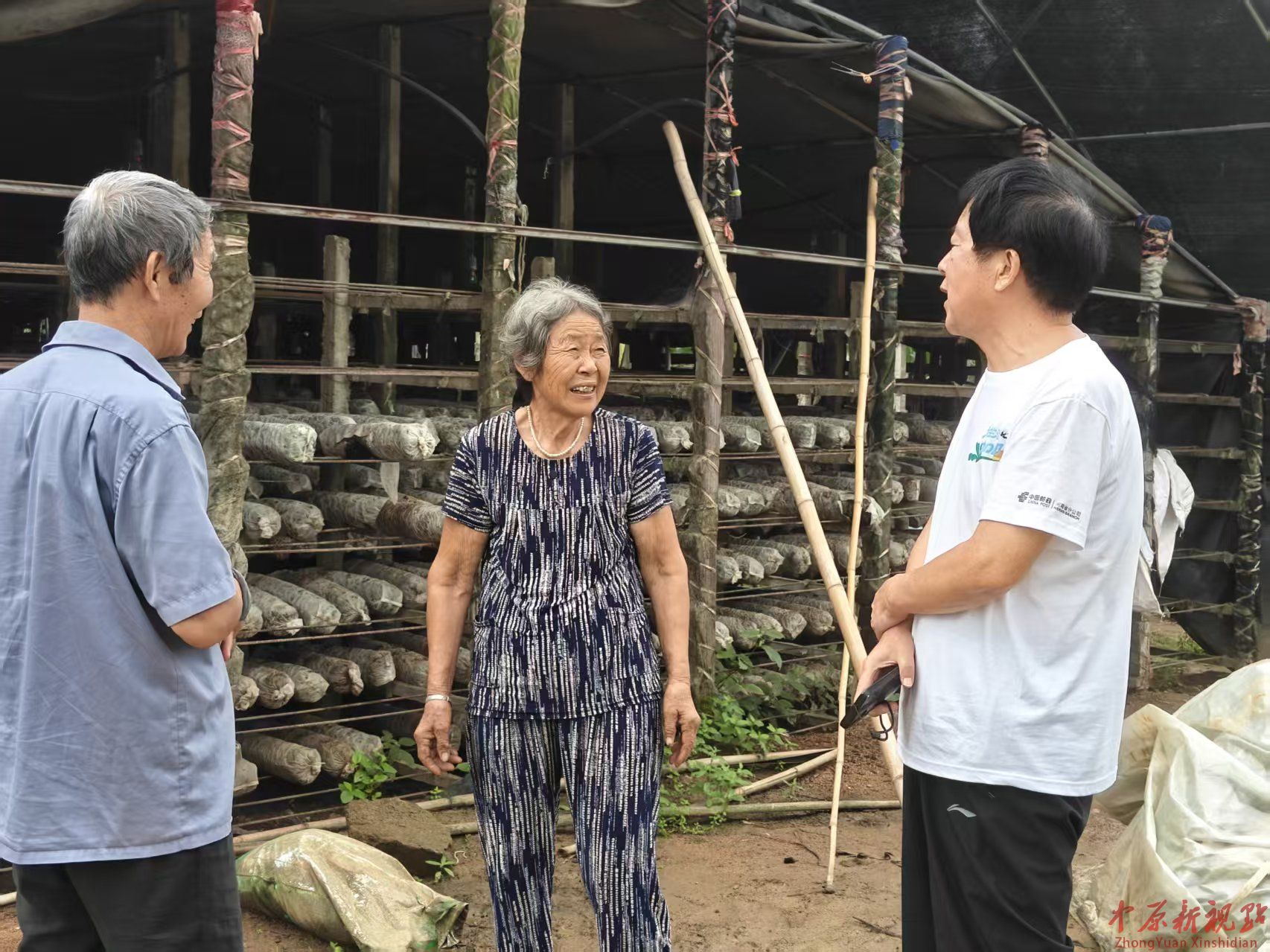   舞钢市绿促会到庙街乡菌菇种植基地参访调研
